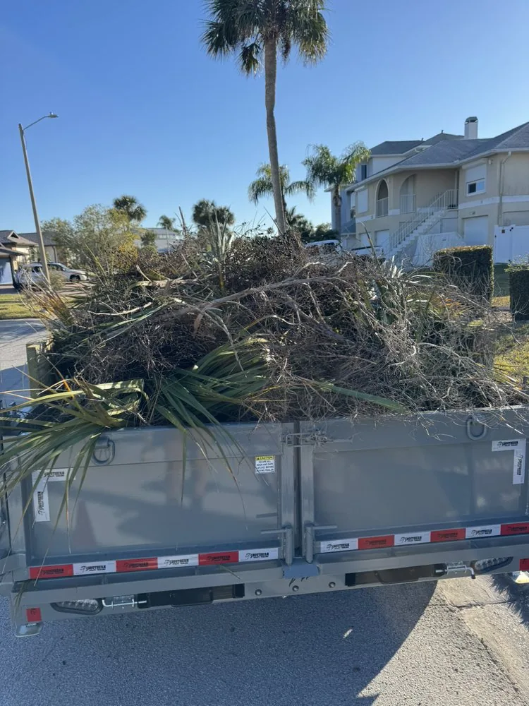 Trailer loaded with palm fronds and yard debris for hauling