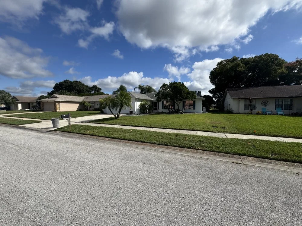 Street of homes with tidy mowed lawns