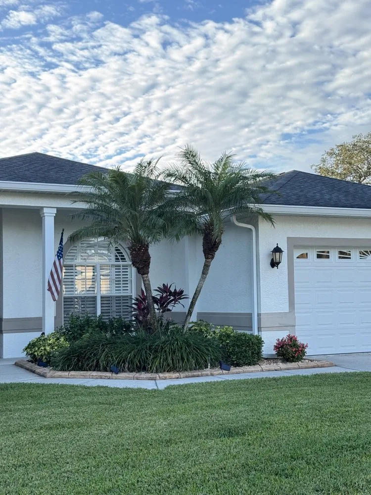 Landscaped beds with palm and mulch by the home entry