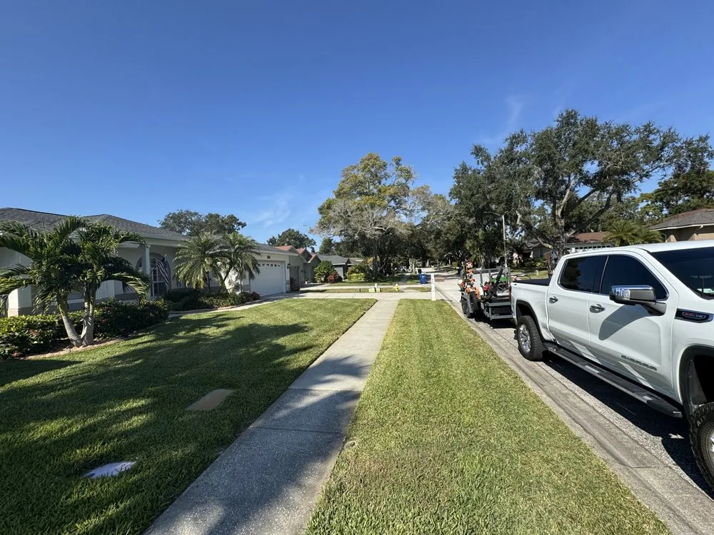 Freshly mowed, edged green lawn in Holiday, Florida