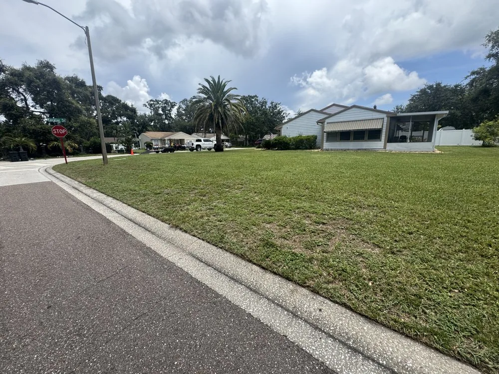 Fresh green lawn strip mowed and edged