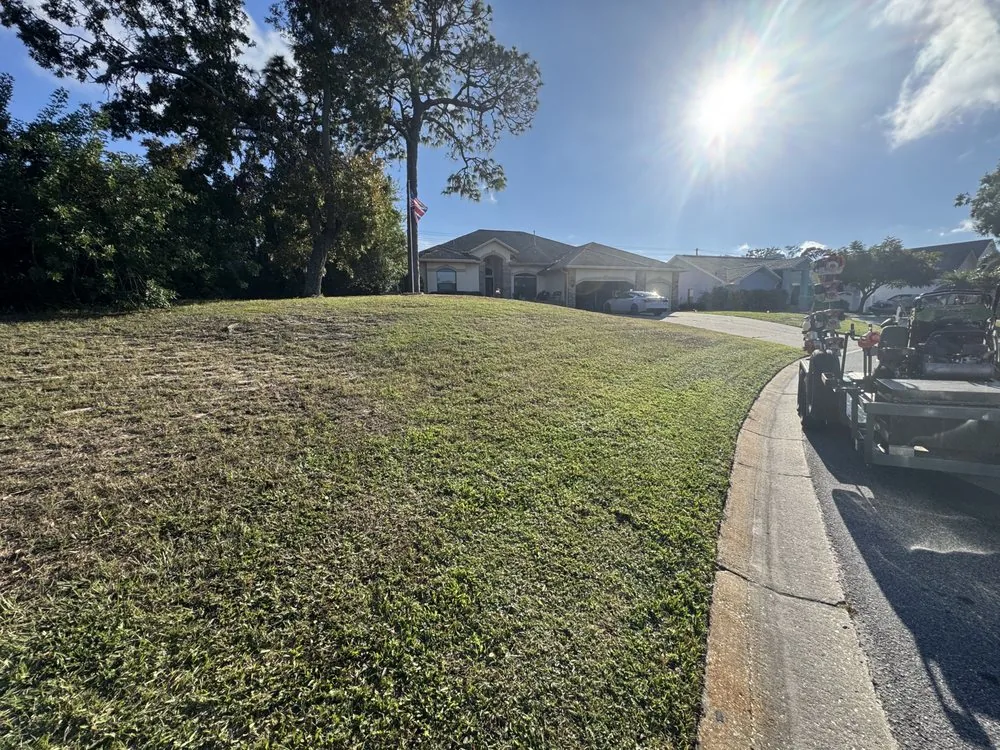 Freshly cut and cleaned up lawn slope
